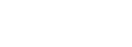 Motor Inspector